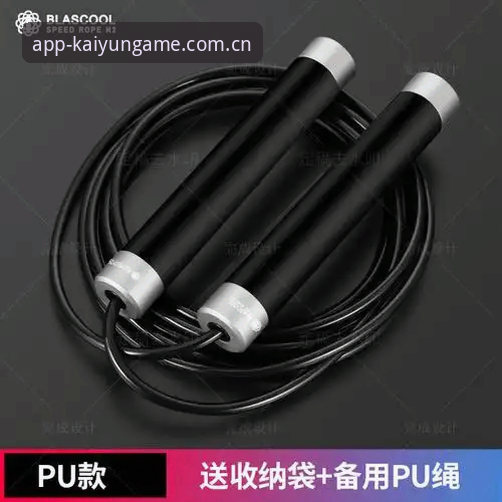 凯运数据查询 凯运体育官网深度评测:数据查询功能实战体验与高效操作指南